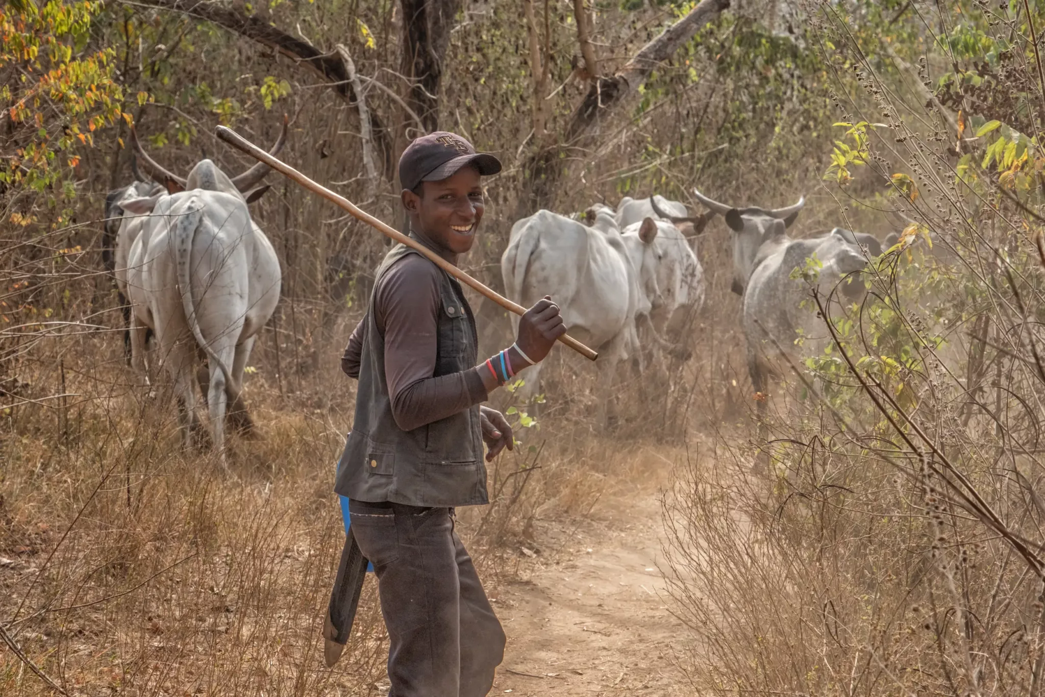 Wandering through the bush in rural Benin, we bumped into this friendly young fellow driving his herd.