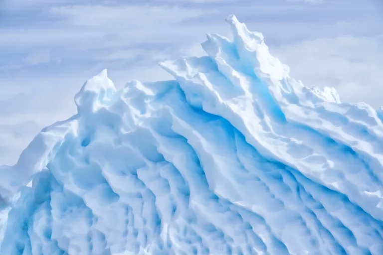 Paradise Bay, part of the Antarctic Penninsula, rose to prominence as a site for whalers but is now known for its two bases operated by Argentinian and Chilean researchers