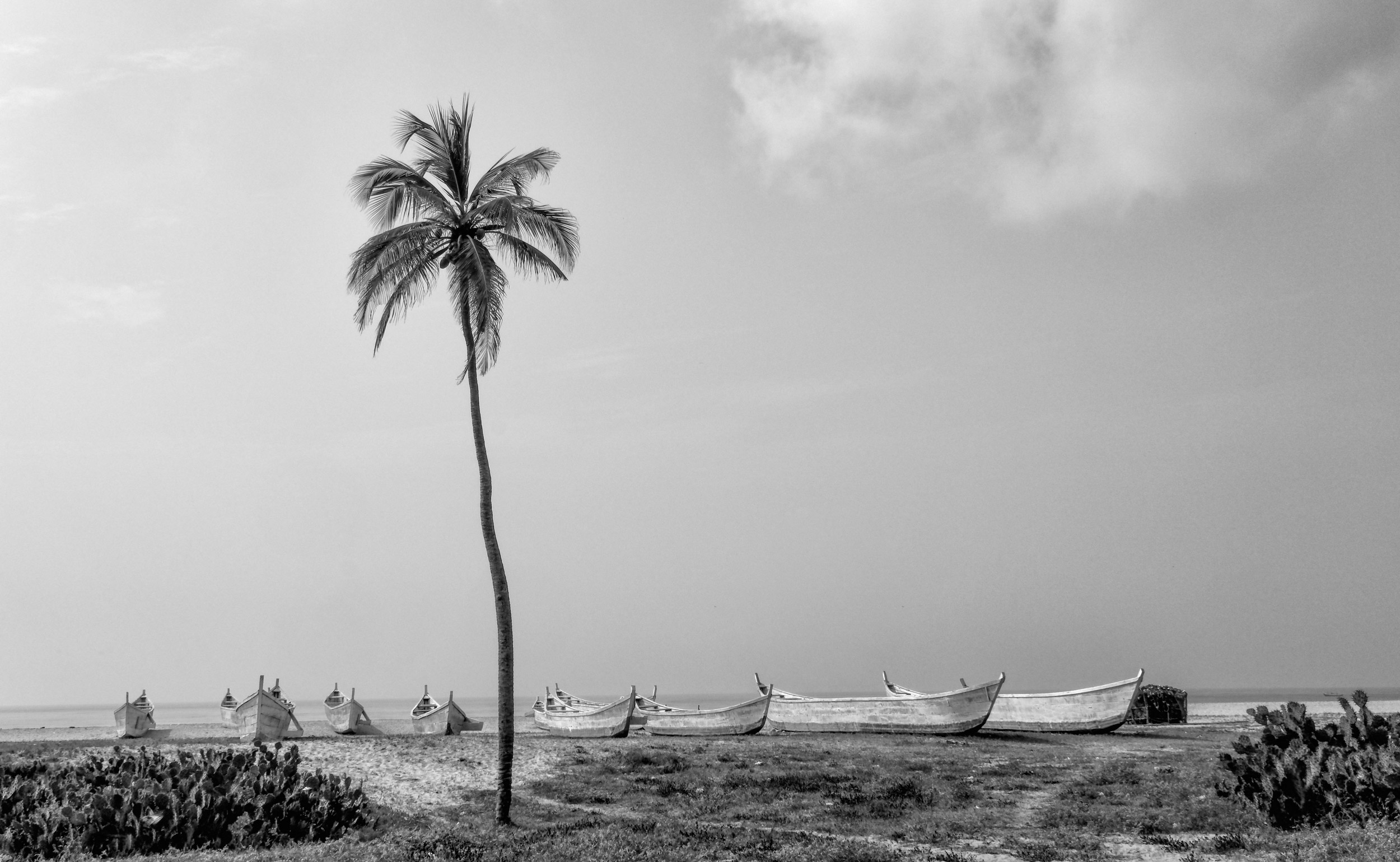 Nigerian Fishing Fleet