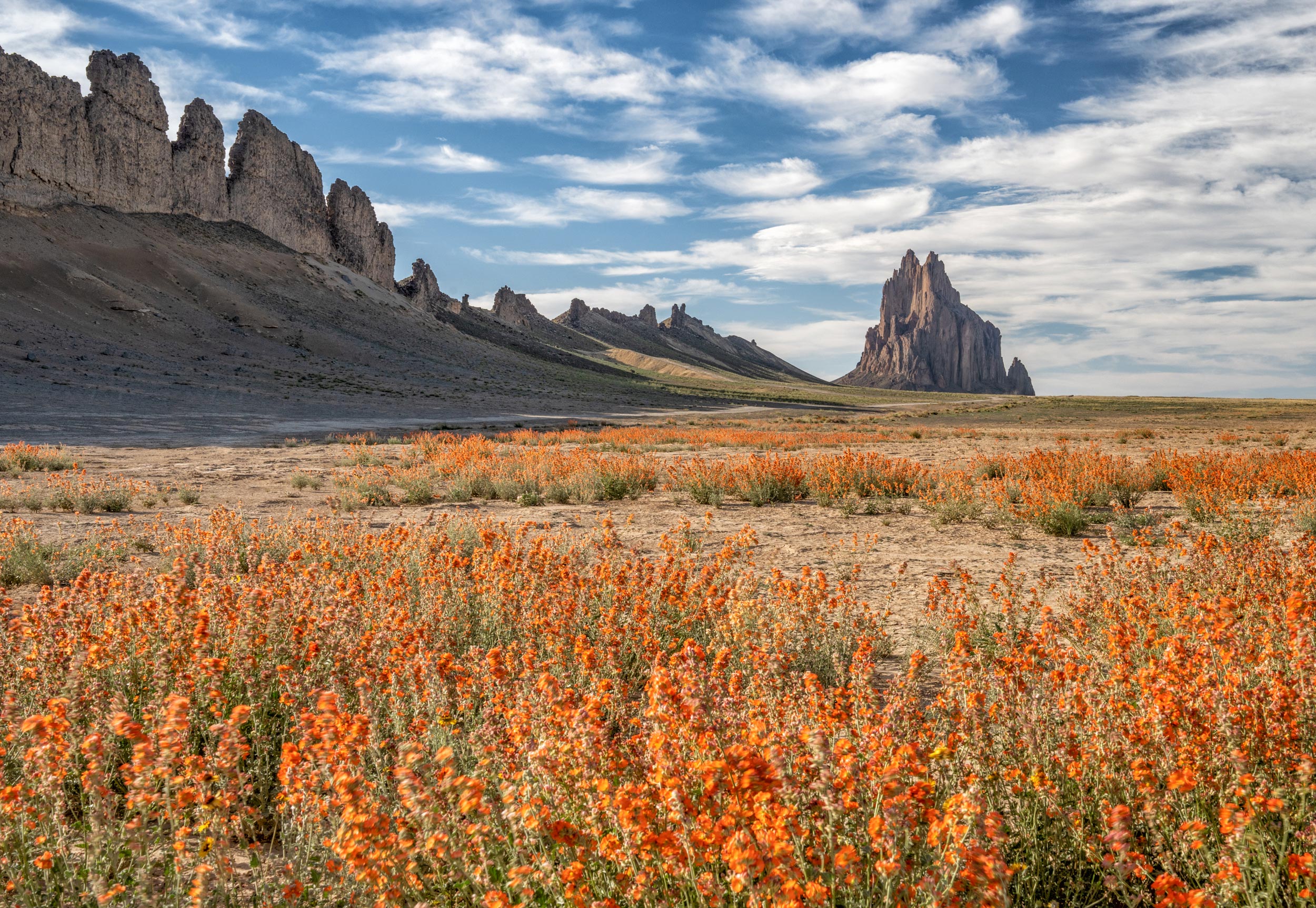 Shiprock and Spring Mallow