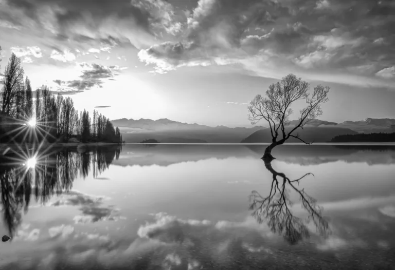 World famous Wanaka Tree in Lake Wanaka in Wanaka town